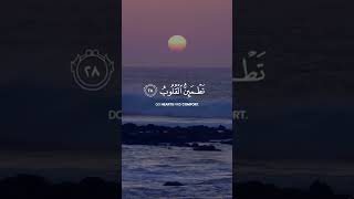 Download lagu Surah Ar-Ra'd | verse:28 | Mishary Rashid Alafasy  | Quranic Moments mp3
