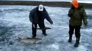 fishing at whitehills