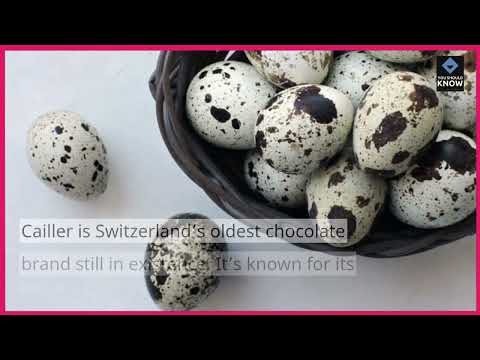 Top 10 Swiss Chocolate Brands That Delight Taste Buds