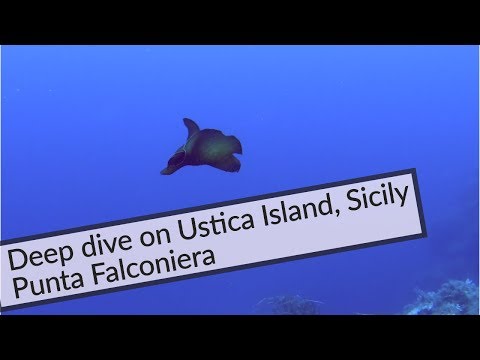 Scuba diving : Deep dive (43m) on Ustica, Sicily, Italy