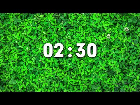 Countdown Timer - 2 Minutes and 30 Seconds