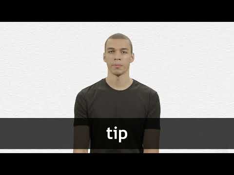 TIP - Definition & Translations | Collins English Dictionary