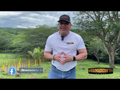 EVENTO SAN JOSE DE LOS REMATES 14 SEPTIEMBRE