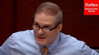 'He's Not Making It Up!': Jim Jordan Issues Fiery Defense Of Elon Musk And DOGE