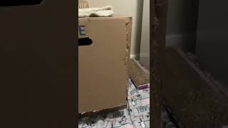 Cat litter box
