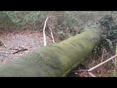 Castrop- Rauxel - Sterngolf Minigolf - altes RRB - Gondelteich - Goldschmieding - Schutzbunker