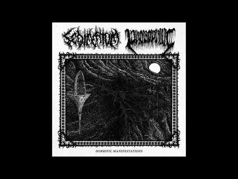 Phobophilic - The Bottom of Creation
