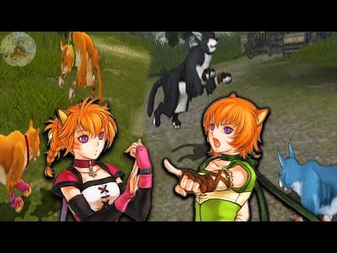Fire Emblem: Radiant Dawn - CAT FIGHT