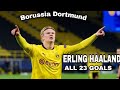 Erling Haaland - 23 Goals in only 22 Bundesliga Games