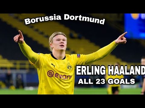 Erling Haaland - 23 Goals in only 22 Bundesliga Games