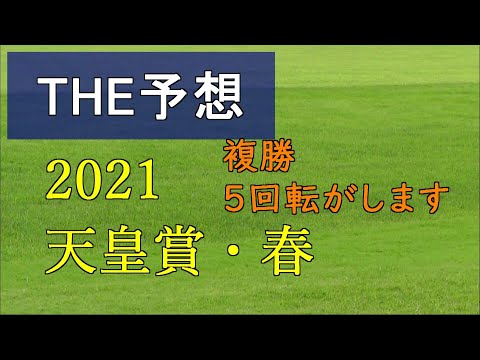 競馬　THE予想　複勝転がし　2021天皇賞・春