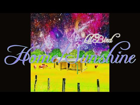 Lil Bird - Home/Sunshine