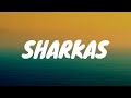 English Lyrics Song ️ New Viral Song 2023 Top Trading Tik Tok Song Best Playlist Song List 2023