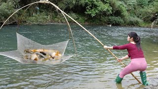 Fishing Techniques on Rivers, Traditional Fishing with Bamboo and Fishing Net Catch a Lot of Fish