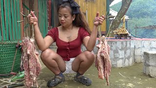 TIMELAPSE: Building new farm life in the country. Farm life in winter in the valley