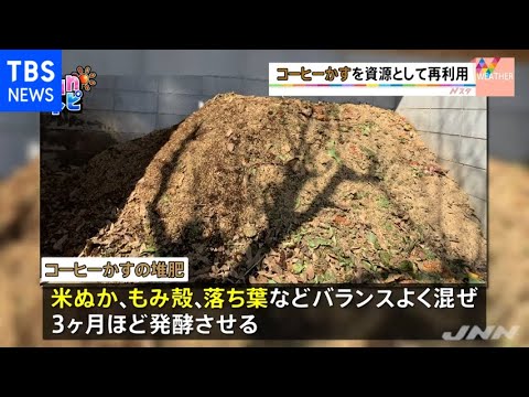 コーヒーかすをサラダに使えますか?レタスにはどんなメリットがあるのでしょうか？  庭園