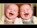 BEST Baby Laughing Video Compilation Ever