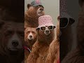 Paddington Meet The Family