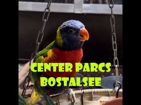 Center Parcs Bostalsee Impressions