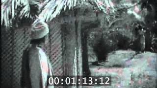100 Years of Indian Cinema 1913 - 2013 - YouTube