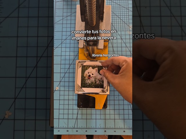 Vídeo relacionado con Imán de Nevera con Foto Personalizado, Imagen de Perro y Gato, acrílico, decoración magnética para el hogar, Caravana, Escuela, Oficina y Cocina (15cm)