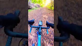 ミュンヘンの森でグラベルトレーニング！