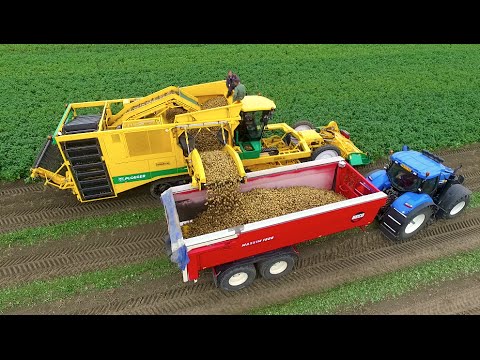 , title : 'Potato Harvest | PLOEGER AR-4BX + Fendt & New Holland | Demijba / Van Peperstraten'