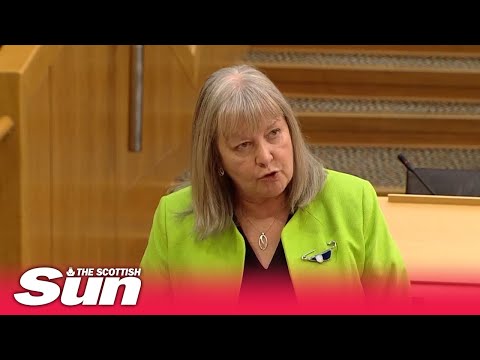 FERRY FIASCO: Labour calls for independent inquiry over the ferries scandal