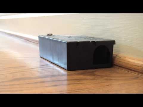 Victor Electronic Mouse Trap Instructional Video