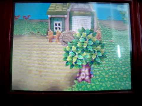 Animal Crossing Wild World Town Tour