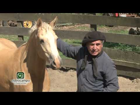Entrevista a Daniel Pérez, Toro Roldán y Cacho Pérez