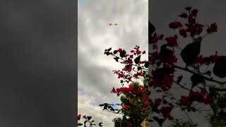 Download lagu ~Vaigai aaraga unna naan kaanjidama kaapen||||song lyrics #song @Luvnskyy (original video) mp3