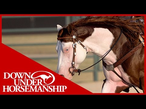 Clinton Anderson Presents: Titan a Legend in the Making, Lesson 8, Part 1 - Downunder Horsemanship