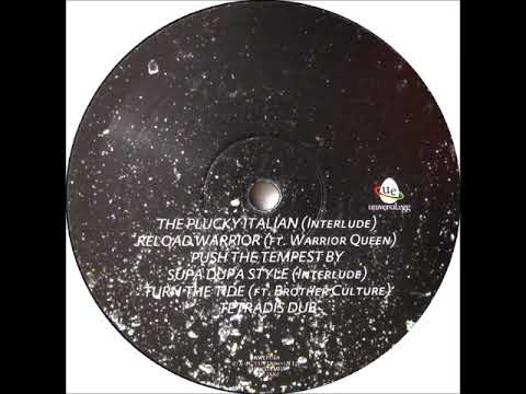 Dub Terror   Push The Tempest By