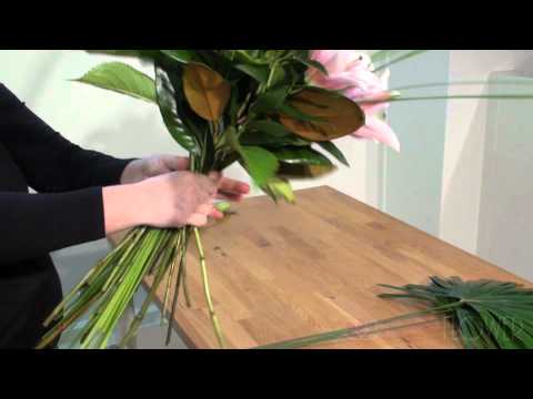 download lagu mp3 mp4 The Lush Lily, download lagu The Lush Lily gratis, unduh video klip The Lush Lily