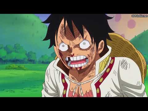 Uno dei discorsi più belli di tutto One piece dopo il combattimento (Sanji vs Luffy)