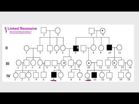 Calculating Probability in a Pedigrees