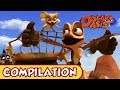 Oscar S Oasis JANUARY COMPILATION 25 MINUTES