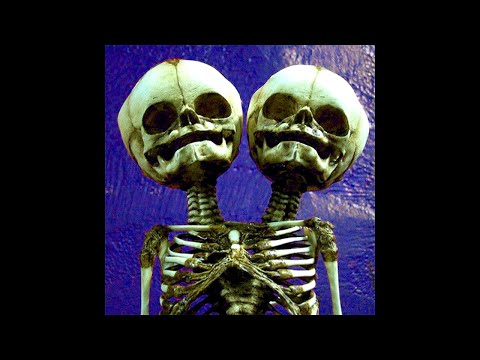 [FREE] Alternative DnB x Electro Punk Type Beat - ‘GORILLA V.2’