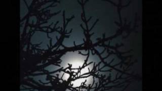 DFF: Dead Friends Forever