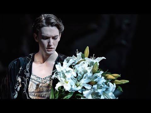 Julian MacKay Giselle (Albrecht Variation) K-Ballet Tokyo 2024 - Video by MACKAY PRODUCTIONS