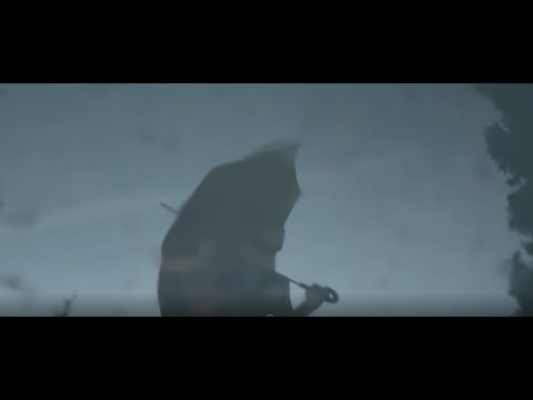 Víctor - LO HAS VISTO PASAR