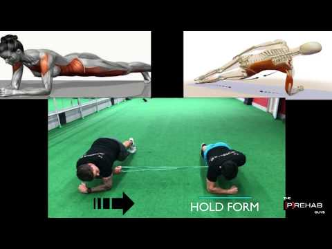 Partner Core Workout Series - Partner Plank Variations