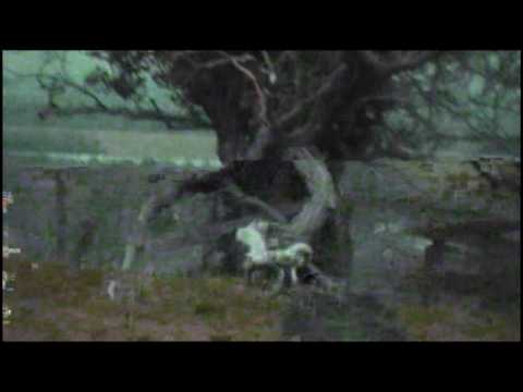 TrzyBe & j772 - Noc (prod. hapkomahka)