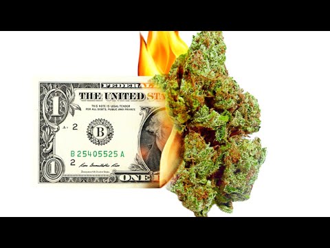 Mandragora - Burn it Down (Original Mix)