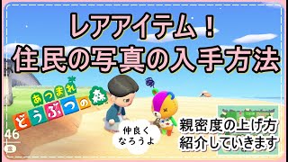 【あつ森】レアアイテム写真をもらう方法紹介！親密度をあげていけ！