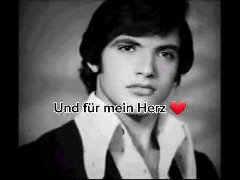 raschid moussa german translate song 🇩🇪