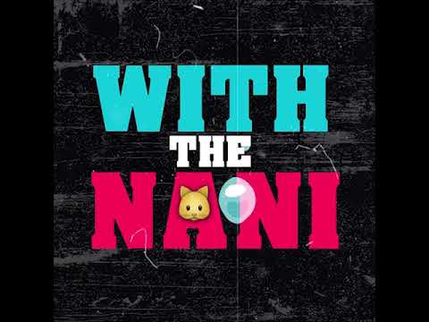 DJ ASAP ft. Rayven Justice, Nef The Pharaoh, RYAN, Aliky - Nani (Lyric Video) [Thizzler.com]