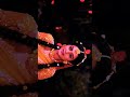 Mandara Mandara ️ Love Music Shortvideo Radhakrisha Shorts