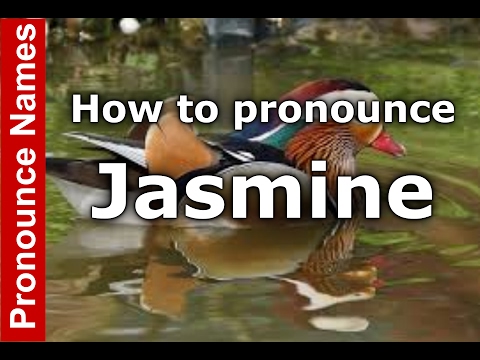 How to Pronounce Jasmine - PronounceNames.com